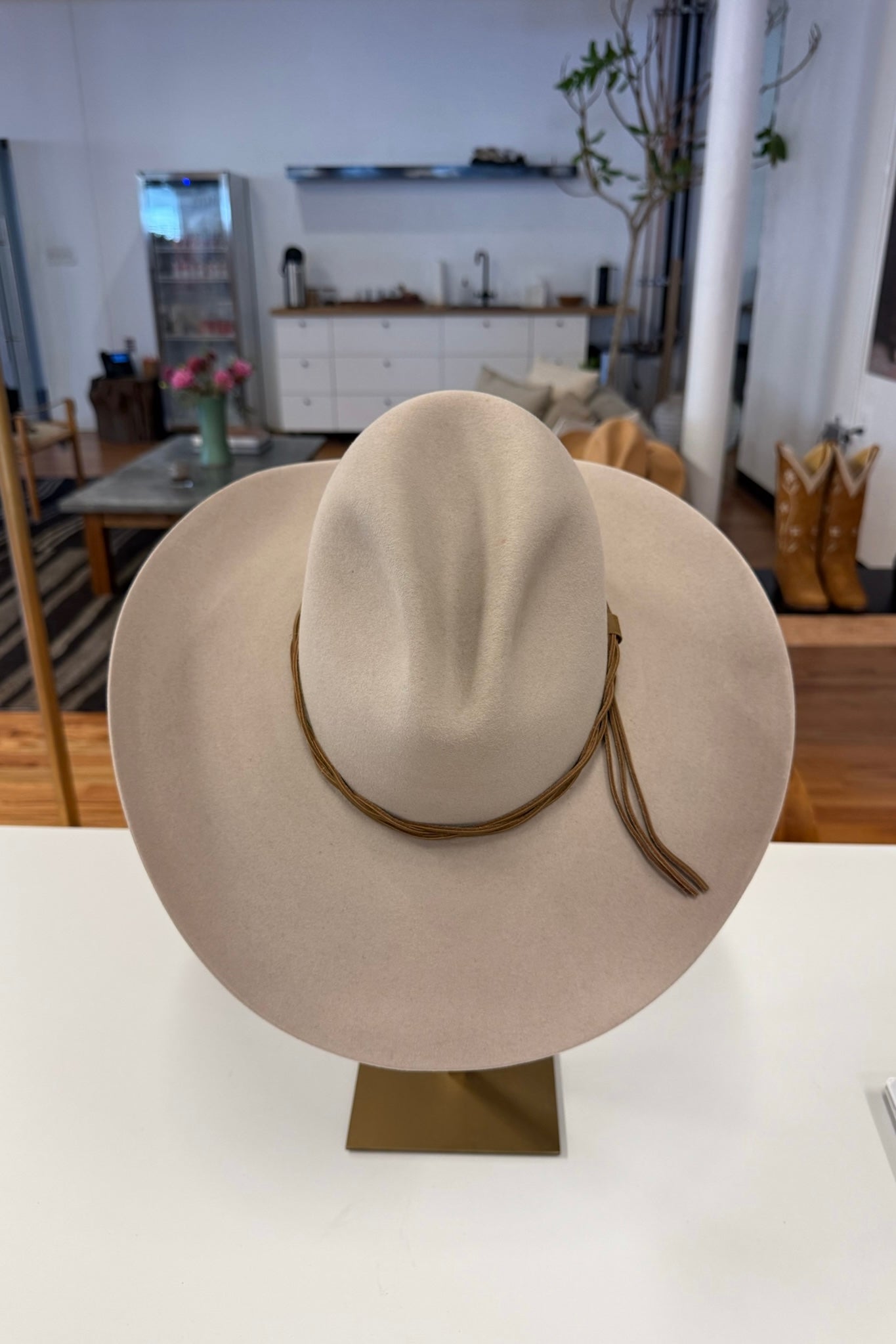 LE CHAPEAU GUS 6X