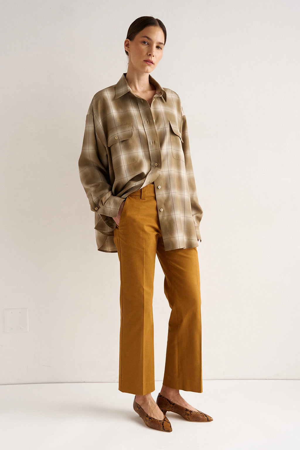 THE BIG SHIRT