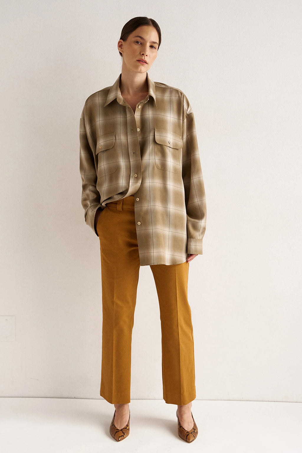 THE BIG SHIRT